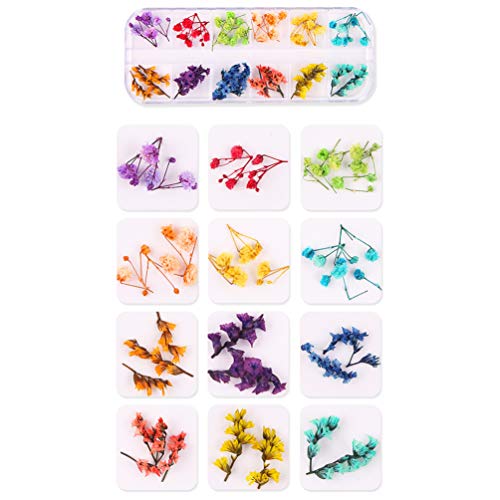 LEORX Сушени цветя за нокти, 2 Кутии, Цветни 3D Цветен Стикер за Нокти, Мини Натурален Сухо Цвете за Нокти-арт и Бродерия (Стил А)