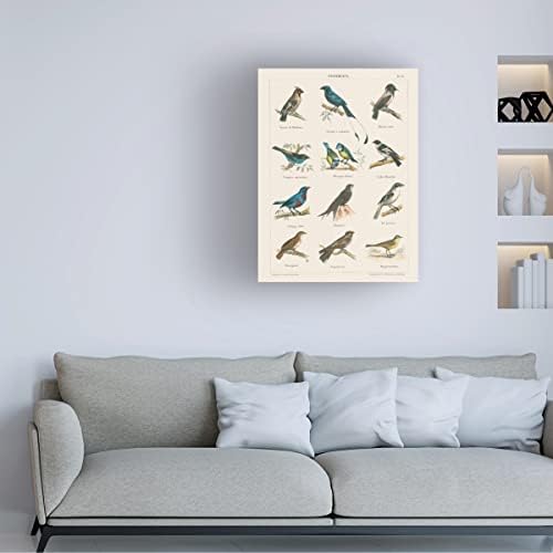 Търговска марка на Fine Art 'Bird Chart II' Платно-арт от Wild Apple Portfolio 24x32