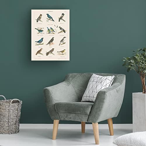 Търговска марка на Fine Art 'Bird Chart II' Платно-арт от Wild Apple Portfolio 18x24