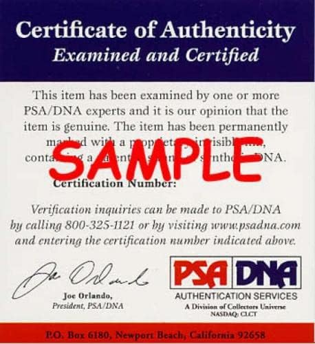 Юлий Эрвинг PSA DNA Coa Подписа Автограф 8x10 Photo Nets с Автограф - Снимки на НБА С автограф