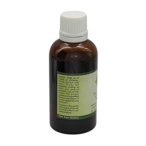R V Чисто Етерично масло-носител, от семена от черен кимион 50 мл (1,69 унция) - Nigella Sativa ( Чисто натурално масло студено пресовано)