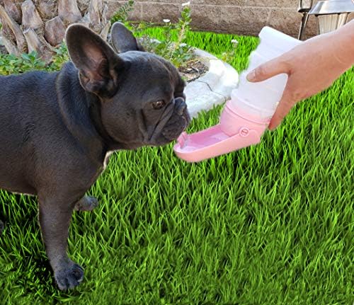 TBD ОБИЧАМ нашите очарователни домашни любимци (зелен) Бутилка за вода за кучета Luv Our Pets, здрава за пътуване, сгъваема, компактен и запечатани Конструкция Позволява лесно да я нося със себе си, не съдържа BPA,