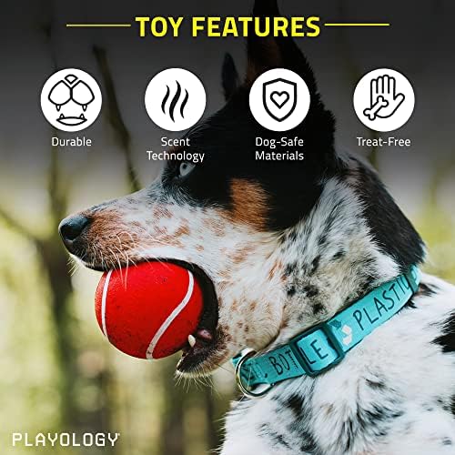 Играчка за кучета Playology с пищащим топка за дъвчене, за средни и големи кучета (от 10 кг), 2 опаковки - за най-тежки жевателей - Атрактивна играчка с натурален аромат на говеждо месо - Нетоксични материали