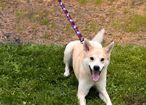 Moose Пет Носете Deluxe Dog Leash - Тежки каишки за домашни любимци с модел, направени в САЩ, в размер на 1 инч х 6 метра, кожа, плетене