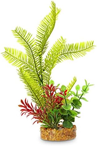 аквариумное растение imagitarium с жълти листа със зелени и червени акценти, голям